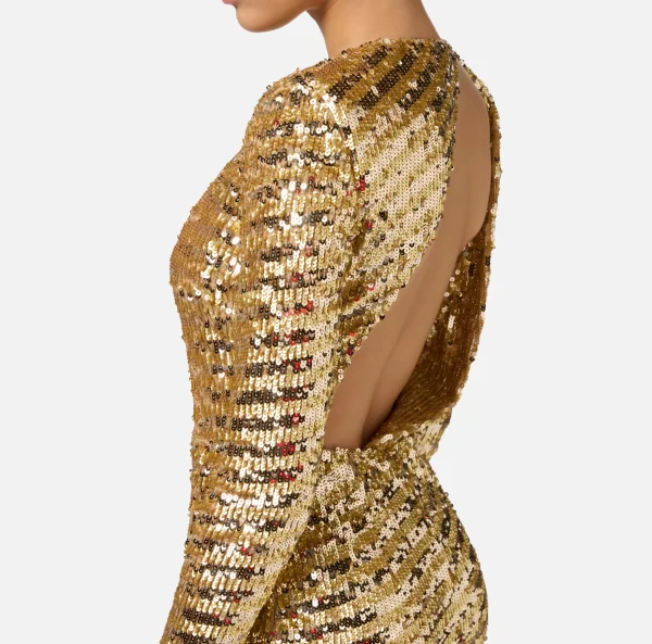Elisabetta Franchi Abiti Red Carpet | Red Carpet^Abito red carpet in tulle ricamato con paillettes con cut-out Gold