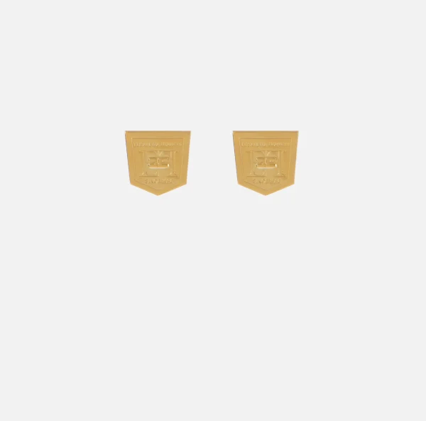 Elisabetta Franchi Bijoux^Orecchini stemma logo OroGiallo